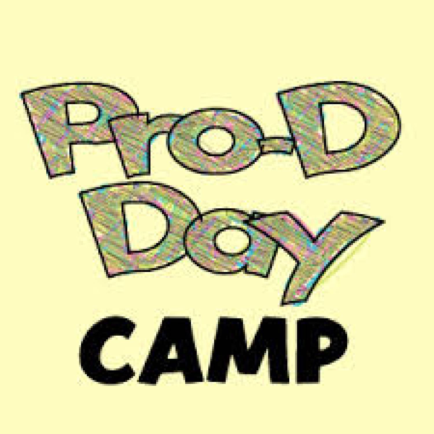 District Pro D Day Camps Bridge Elementary School