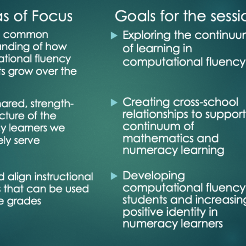 Areas of Focus and Goals for the Professional Development session